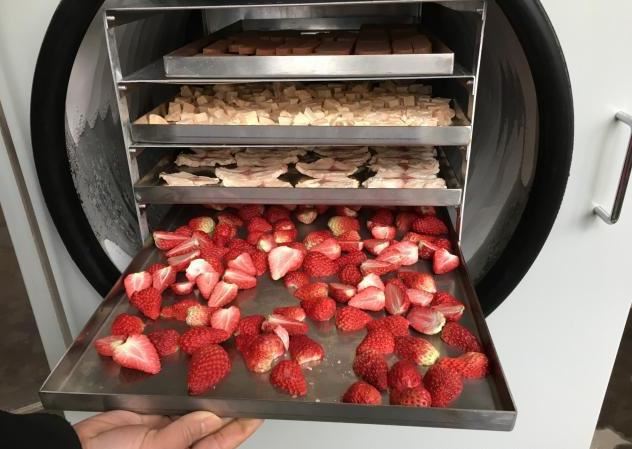 home freeze dryer price