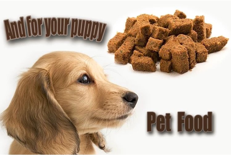 dog treats freeze dryer dog treats freeze dryer