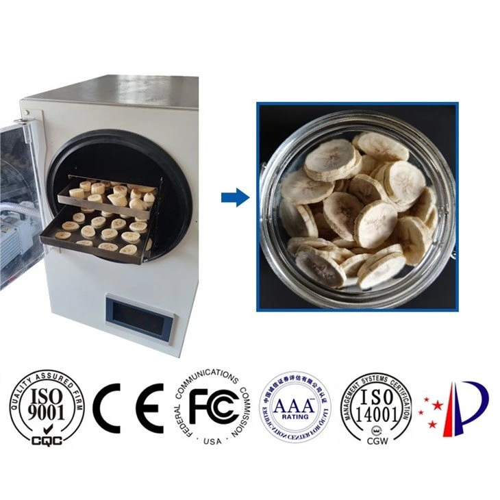 mini freeze dryer for home use