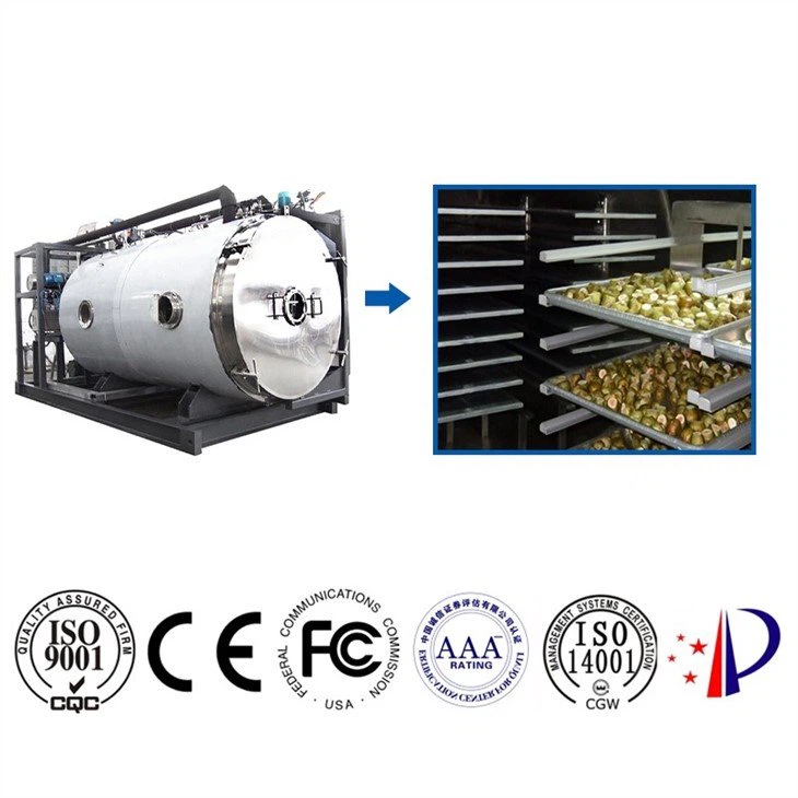 Industrial freeze dryer machine
