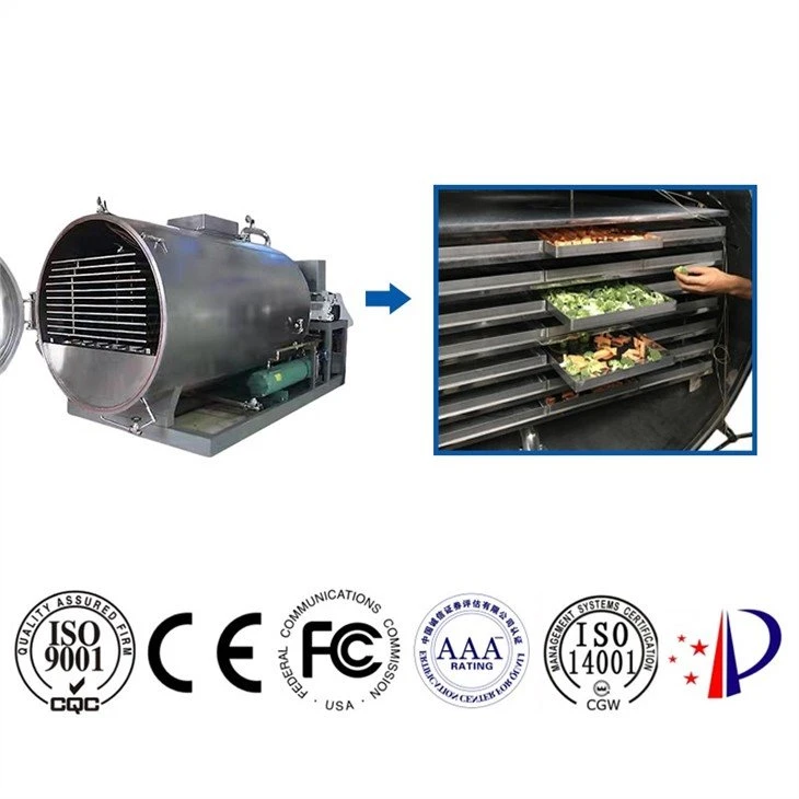 Energy saving Food Freeze Dryer for sale