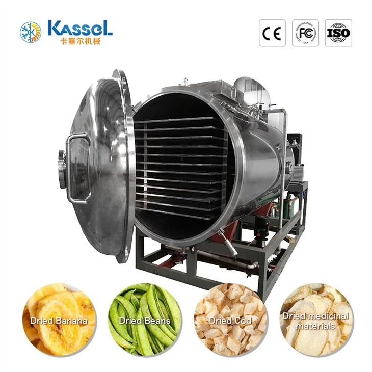 Freeze Dryer Machine manufacturers
