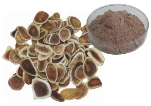 Beauty Powder Freeze Dryer