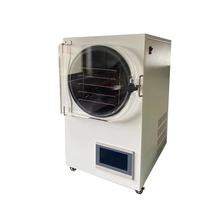 Lemon Freeze Dryer With Pump